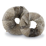 Donutfisk 100 g
