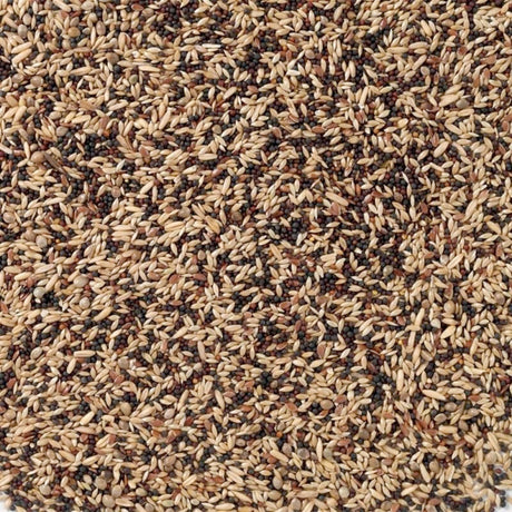 Kanarieblanding15 kg - Maxi Zoo Danmark