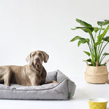 Hundeseng Eiby Grå