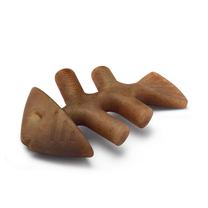 Fishbone small