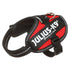 Julius K9 Power-SeleIDC baby 2/xS-S rød