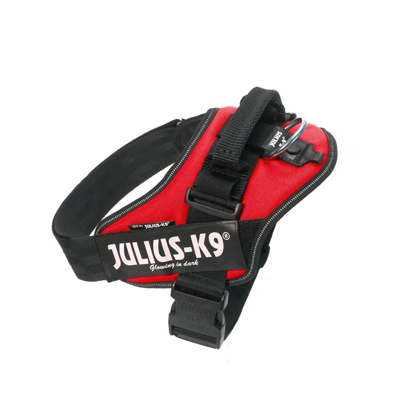 Julius K9 Power-Sele IDC str 3/XL rød