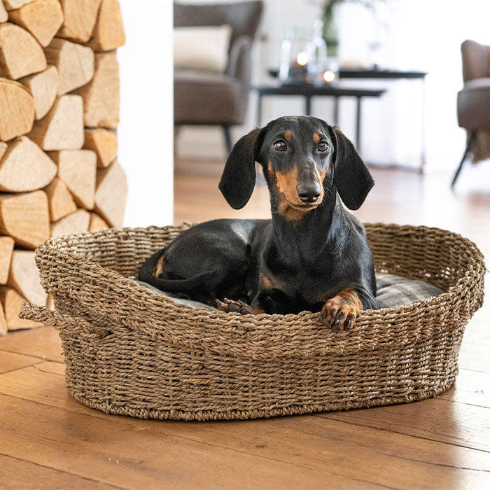 Hundeseng Basket S 60x40x19 cm