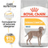 Dermacomfort Maxi12 kg - Maxi Zoo Danmark