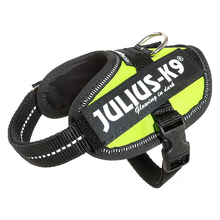 Julius K9 Power-SeleIDC baby 1/xS neon