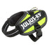 Julius K9 Power-SeleIDC baby 1/xS neon