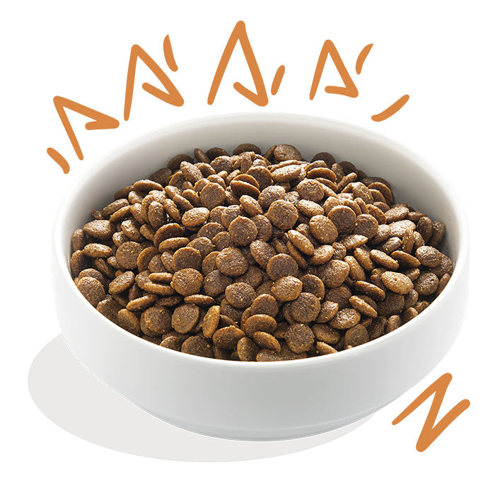 Fresh Free-run Adult Kylling med mango og grønt 12 kg