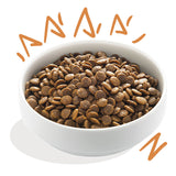 Fresh Free-run Adult Kylling med mango og grønt 12 kg