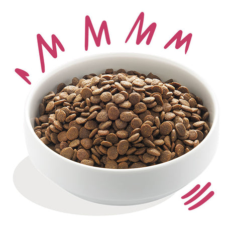 Venison & Free-run Adult And med æble og grønt 2,5 kg