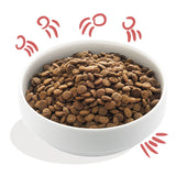 Fresh Free-run Senior Kylling,Norsk Laks & grønt12 kg - Maxi Zoo Danmark