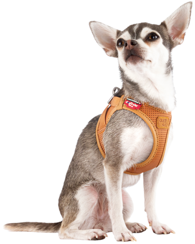 Æblelæder sele L brun