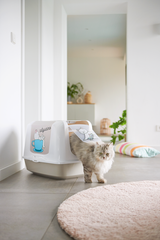 Kattetoilet Catpuccino