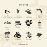Adult The Jaguar