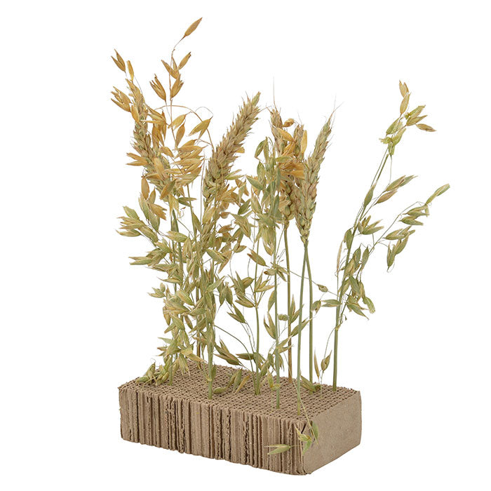 Snackbræt My Pet & Me 15x8x4 cm - Maxi Zoo Danmark