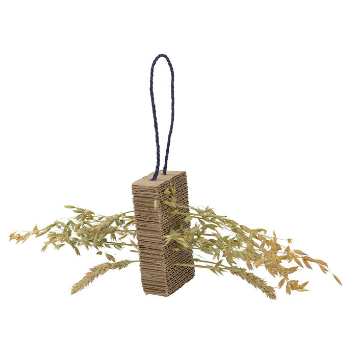 Snackbræt My Pet & Me 15x8x4 cm - Maxi Zoo Danmark