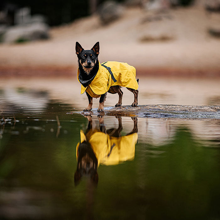 Regnjakke Lite Visibility 35 cm gul - Maxi Zoo Danmark