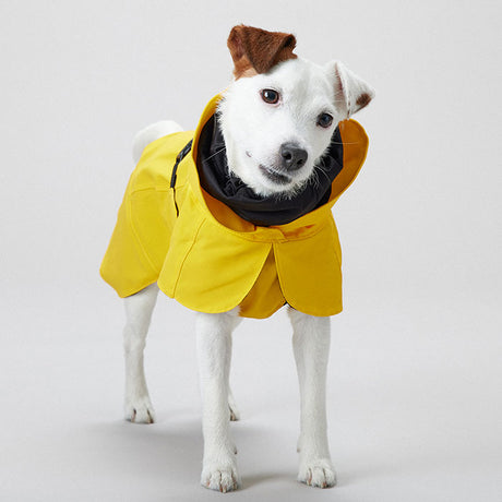 Regnjakke Lite Visibility 35 cm gul - Maxi Zoo Danmark