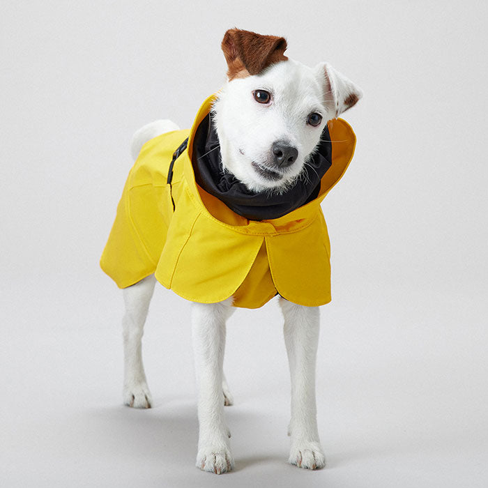 Regnjakke Lite Visibility 45 cm gul - Maxi Zoo Danmark