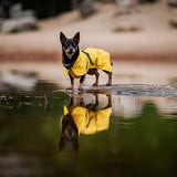 Regnjakke Lite Visibility 50 cm gul - Maxi Zoo Danmark