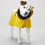 Regnjakke Lite Visibility 55 cm gul - Maxi Zoo Danmark