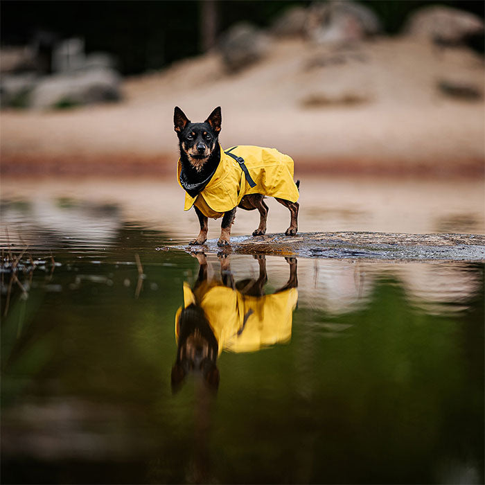 Regnjakke Lite Visibility 60 cm gul - Maxi Zoo Danmark