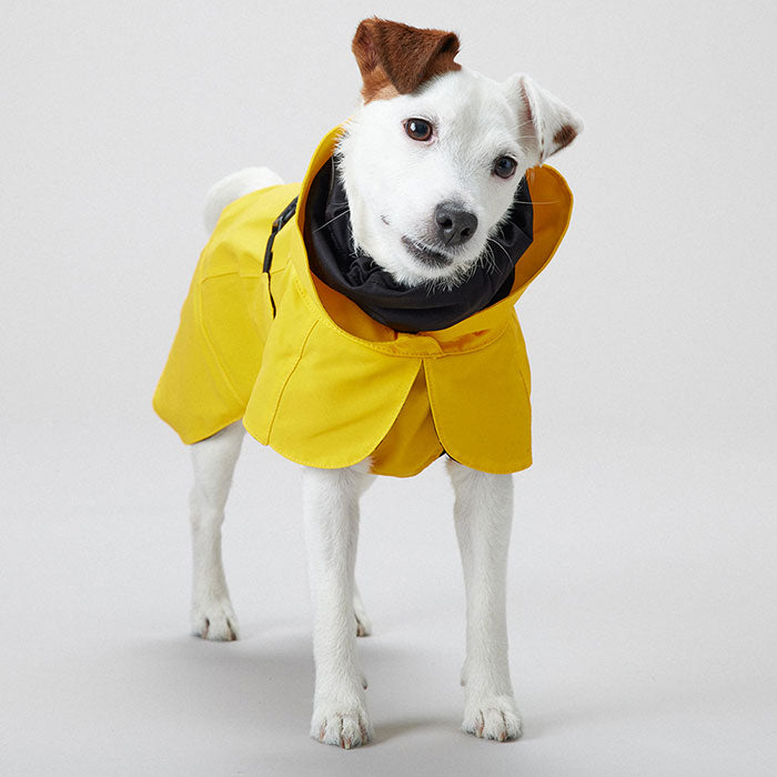 Regnjakke Lite Visibility 60 cm gul - Maxi Zoo Danmark