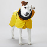 Regnjakke Lite Visibility 60 cm gul - Maxi Zoo Danmark