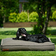 Dog bedL 120x80x15 cm brun - Maxi Zoo Danmark