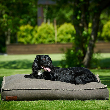 Dog bedL 120x80x15 cm brun - Maxi Zoo Danmark