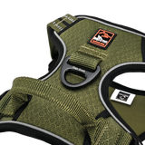 Nylonsele Pathfinder Grøn