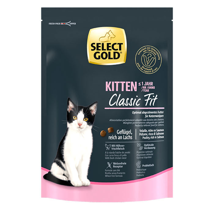 Kitten
