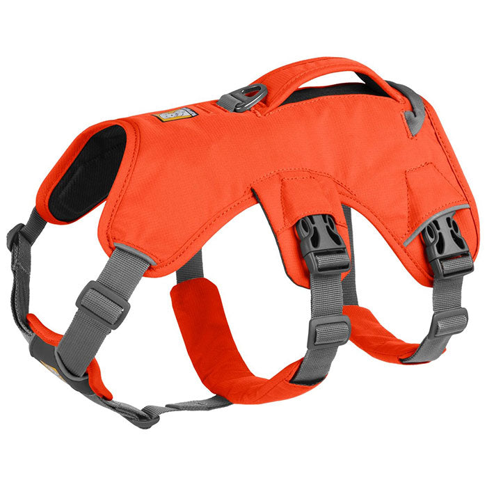 Sele Web Master L/XL orange