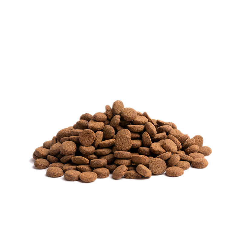 Adult Contour overvægtig HL kylling, and & fisk 10 kg