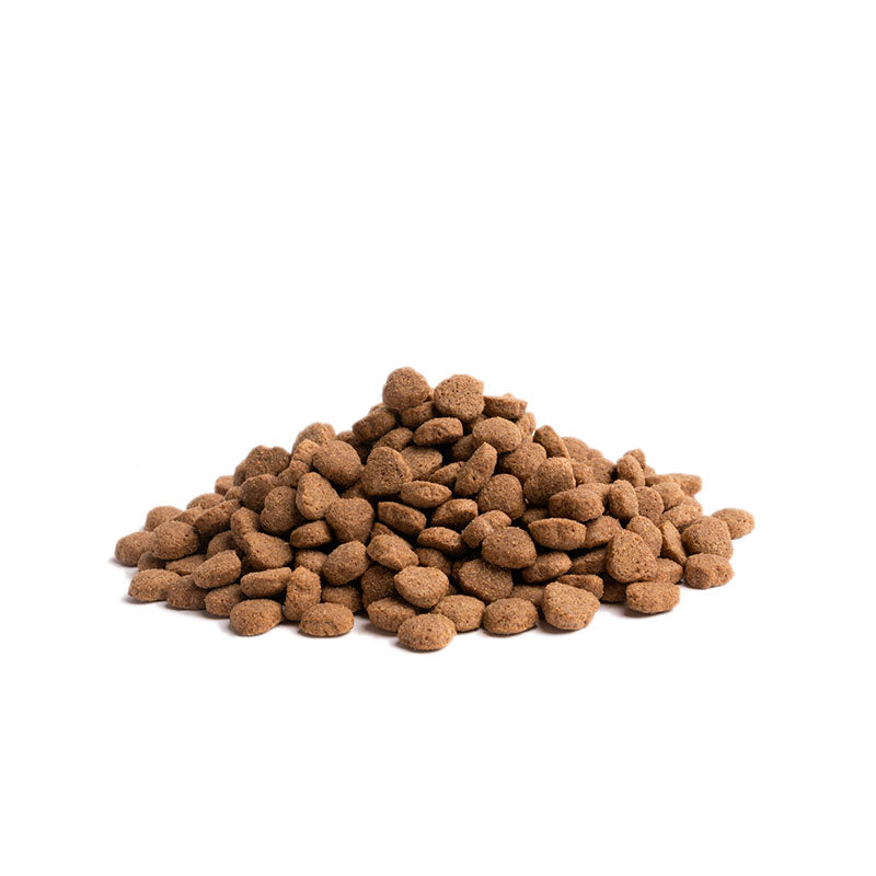 Adult Balance HL 10 kg