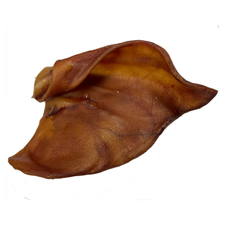 Griseøre 1 stk - Maxi Zoo Danmark