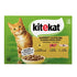Adult menuboks i sovs, Mixed kylling,okse,laks 12x85 g - Maxi Zoo Danmark