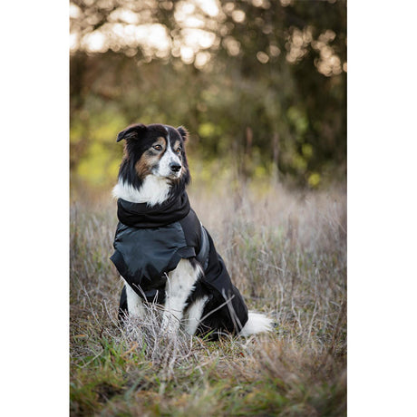 FIR-Tech hundedækken Dog Rug 2.0