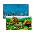 Akvariebaggrund Vision 60x150 cm - Maxi Zoo Danmark