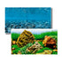 Akvariebaggrund Vision 60x150 cm - Maxi Zoo Danmark
