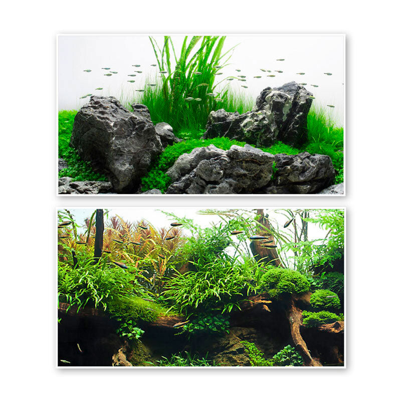 Akvariebaggrund Amazonia 30x60 cm