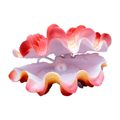 Akvariedek. Musling 5x3x10 cm - Maxi Zoo Danmark