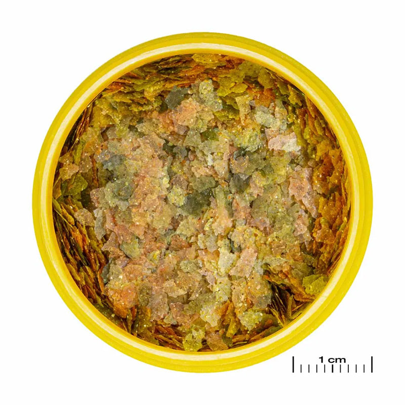 Pronovo Bel Flagers 100 ml - Maxi Zoo Danmark