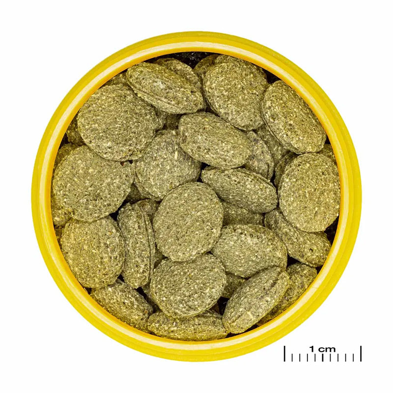 Pronovo Pleco skægfisk tabl. M 100 ml - Maxi Zoo Danmark