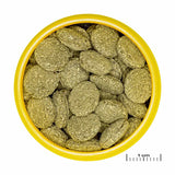 Pronovo Pleco skægfisk tabl. M 1000 ml