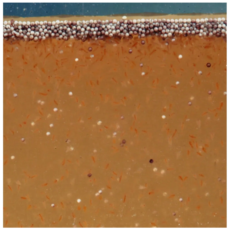 Artemio Pur Æg 40 ml - Maxi Zoo Danmark