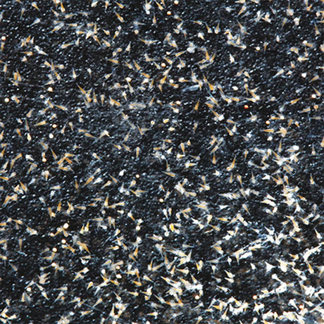 Artemio Mix 200 ml - Maxi Zoo Danmark