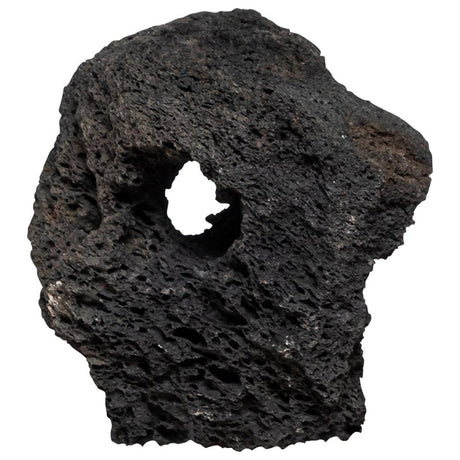 Lavahule - Maxi Zoo Danmark