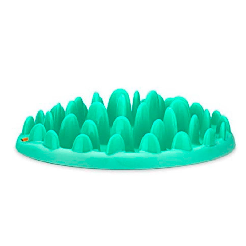 Green Slow Eater 40x29x10 cm turkis
