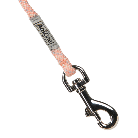 Line Pepe & Kitty M abrikos