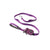 Purple-Passion